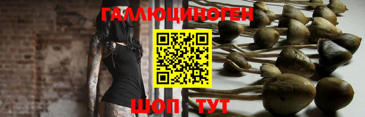 Галлюциногенные грибы GOLDEN TEACHER  где найти наркотики  Спасск-Дальний  Вход с VPN 